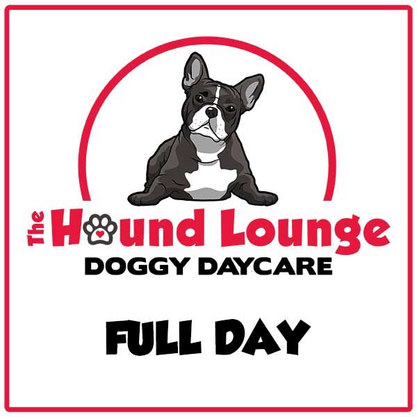Doggy Day Care - Full Day