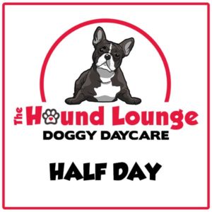 Doggy Day Care - Half Day
